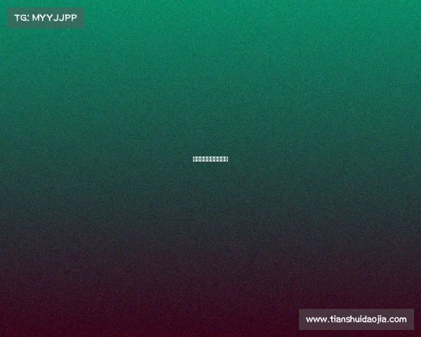 乘风网络科技有限公司